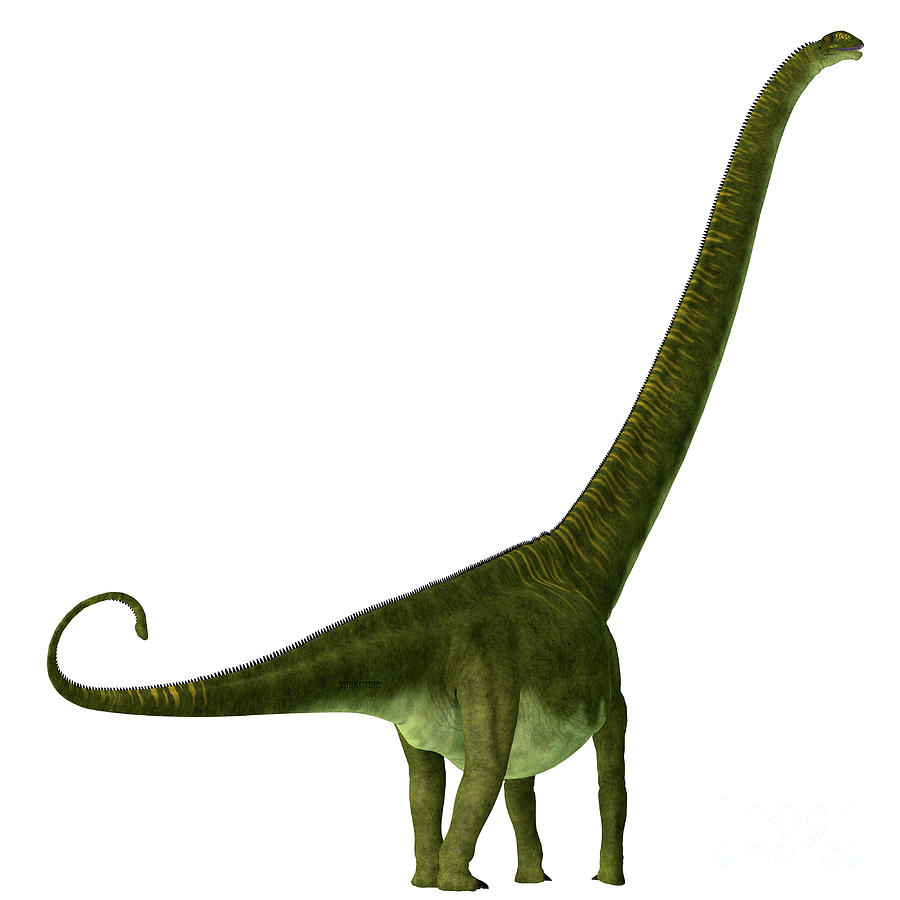 Mamenchisaurus Hochuanensis Dinosaur Tail Digital Art