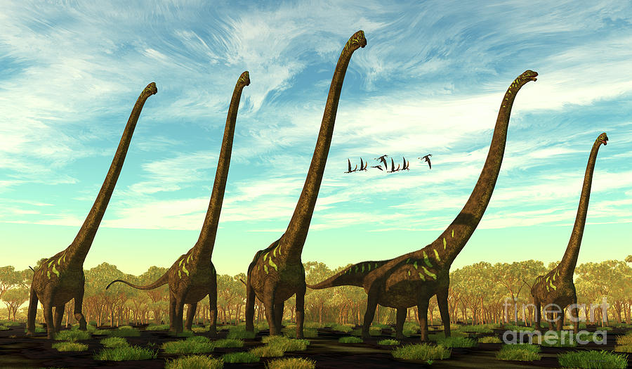 mamenchisaurus fossil