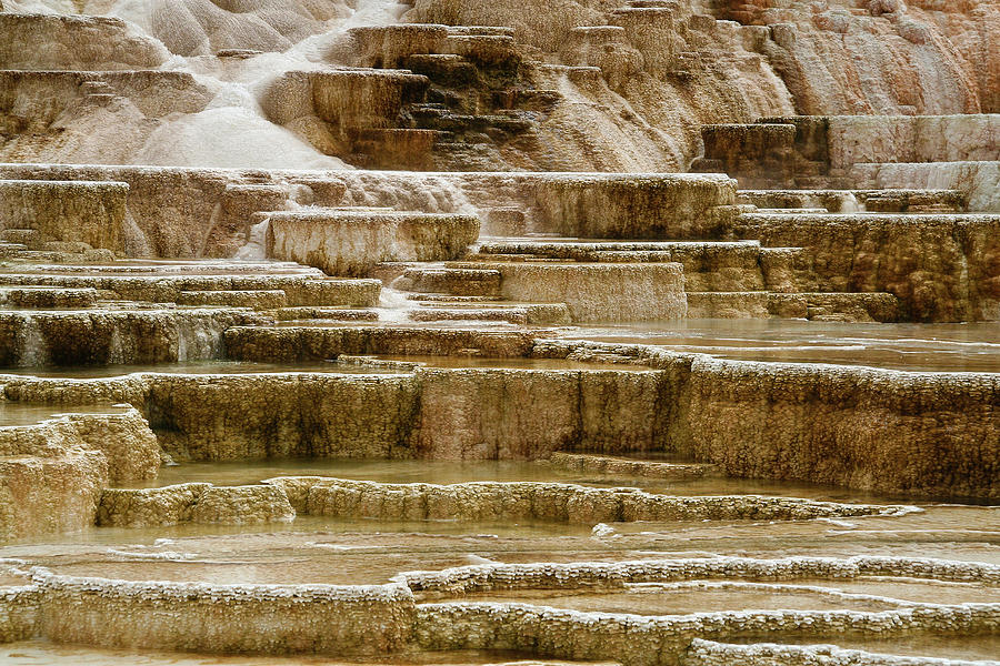 Mammoth Hot Springs Photograph by © Richard Taylor