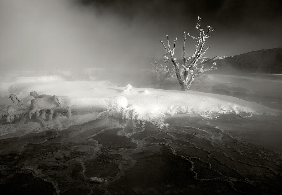 Yellowstone National Park Photograph - Mammoth Hot Springs, 2009 by Jay Wesler