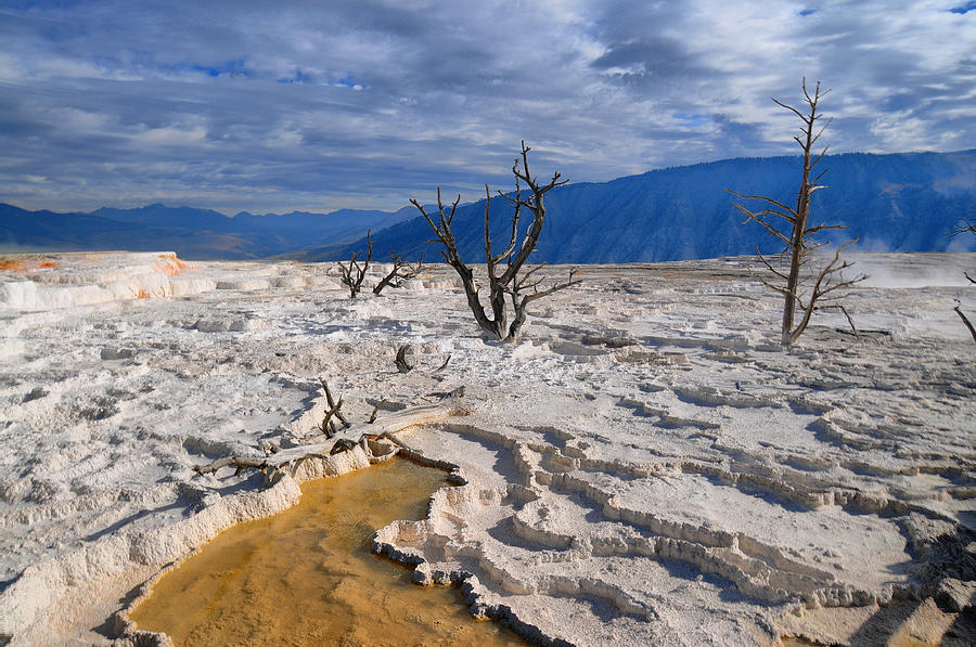 Mammoth Hot Springs Photograph by Beverly Armstrong