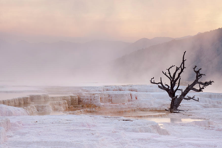 Mammoth Hot Springs In Yellowstone Photograph by Sara winter