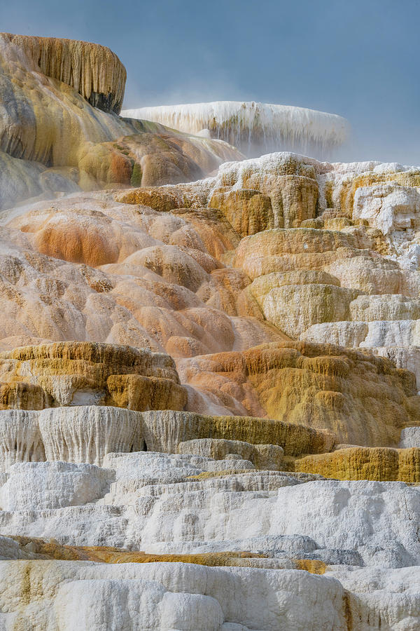 Mammoth Hot Springs Photograph by Jeff Foott