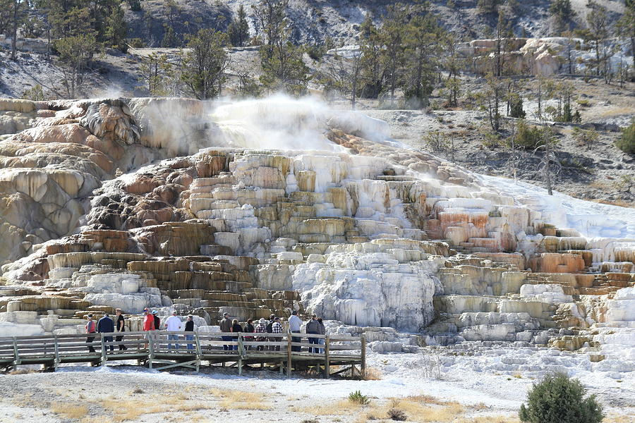 Mammoth Hot Springs Photograph By JR Cox Fine Art America   Mammoth Hot Springs Jr Cox 