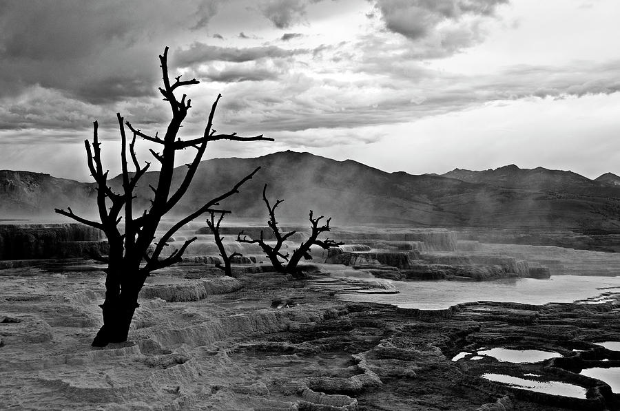 Mammoth Hot Springs Landscape Photograph by Carolyn Hebbard