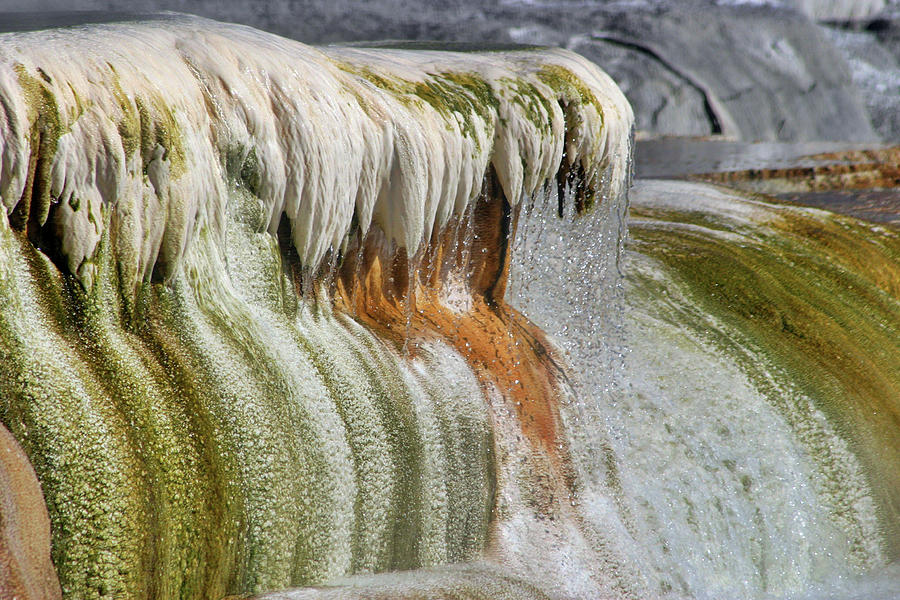 Mammoth Hot Springs Photograph by Photo By Raj Mittra