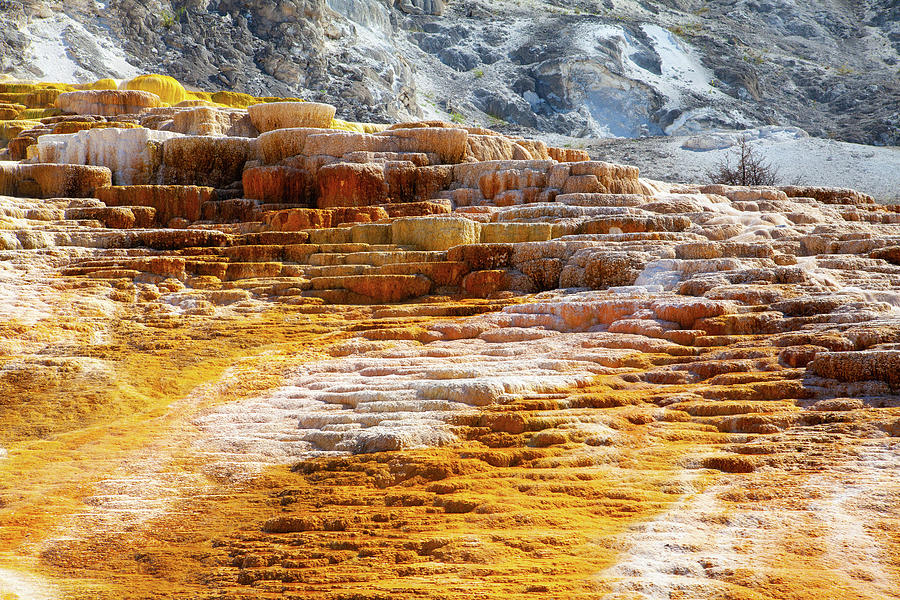 Mammoth Hot Springs Terraces, Wyoming, USA Photograph by Radomir Rezny