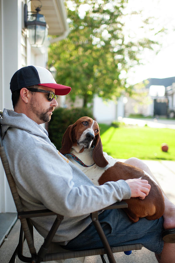 are basset hounds lap dogs