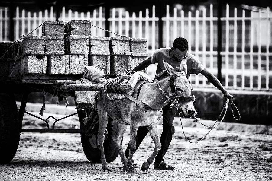 Man-and-donkey-cart-share-heavy-load-in-turmi Photograph by Veli Aydogdu