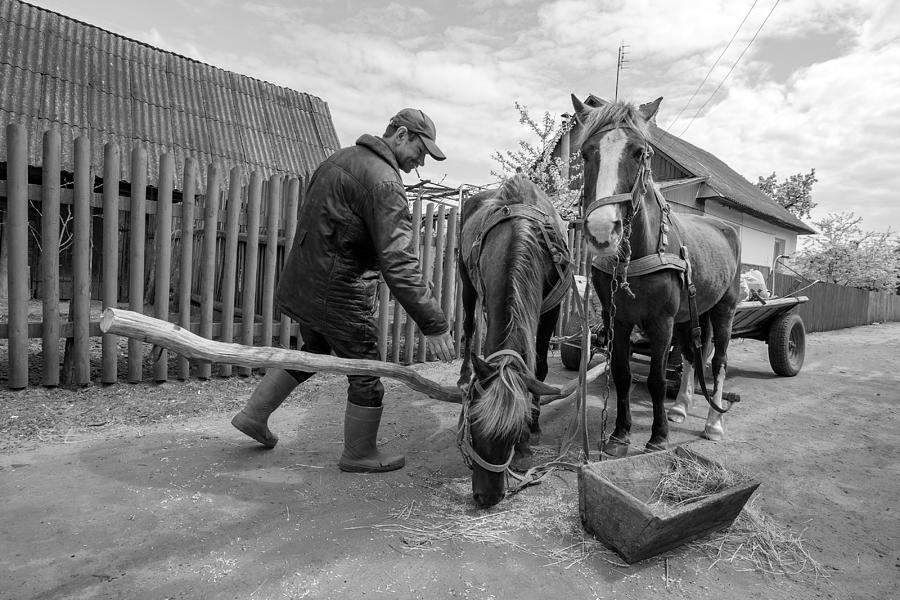 Man And Horses From Stepan Village Photograph by Garik