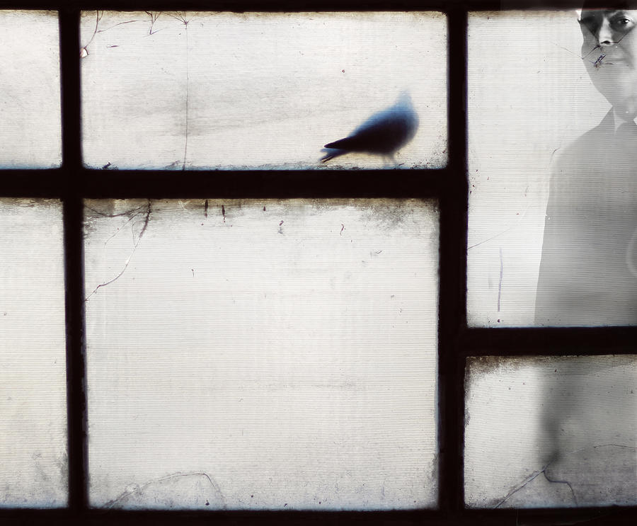 Portrait Photograph - Man And The Bird by Milena Kora?evi?