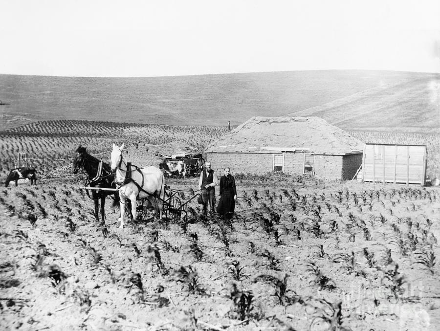 Man And Woman Farming Photograph by Bettmann