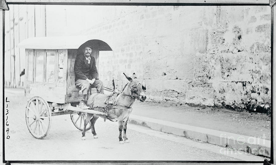 Man Driving Donkey Driven Cart Photograph by Bettmann