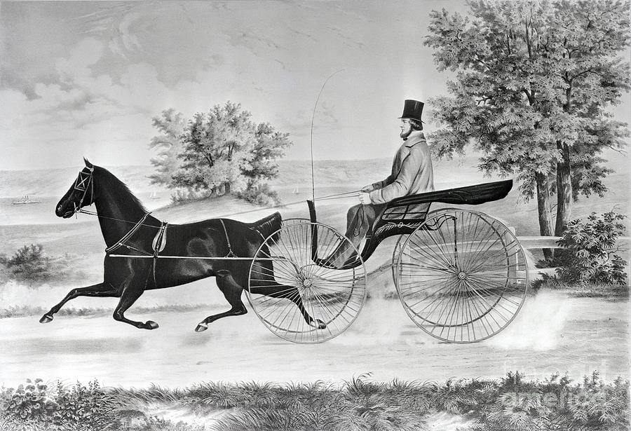Man Driving Horse And Buggy In Summer Photograph by Bettmann