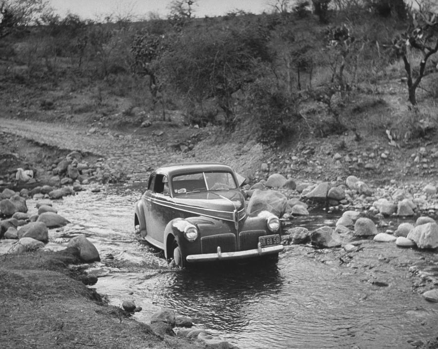 Tree Photograph - Man Driving In Water by Peter Stackpole