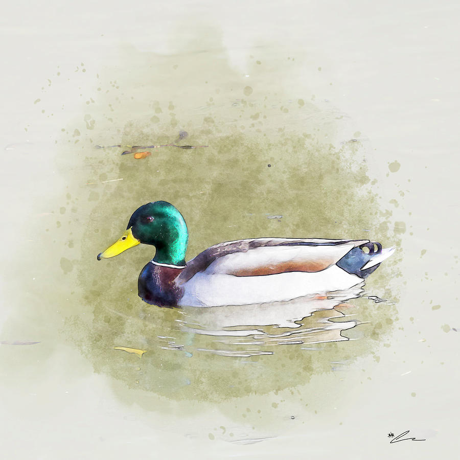 Man duck by Starsphinx Man duck by Starsphinx