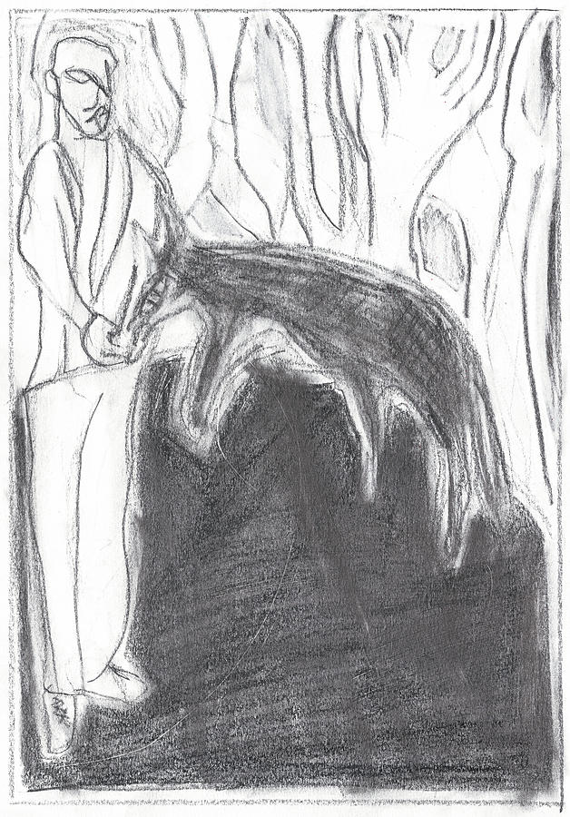 Man Feeding a Wolf Drawing by Edgeworth Johnstone