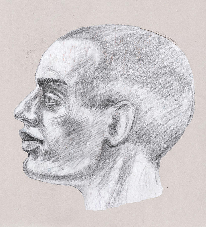 Black And White Drawing - Man Head Study Profile  by Irina Sztukowski