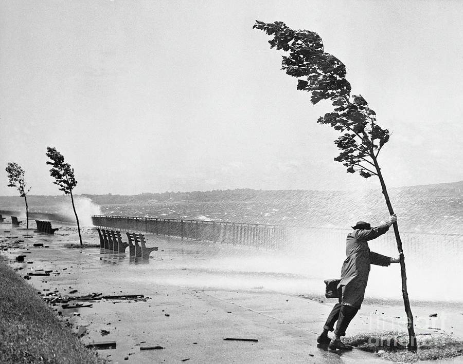 Man Holding Onto Tree During Hurricane Photograph by Bettmann