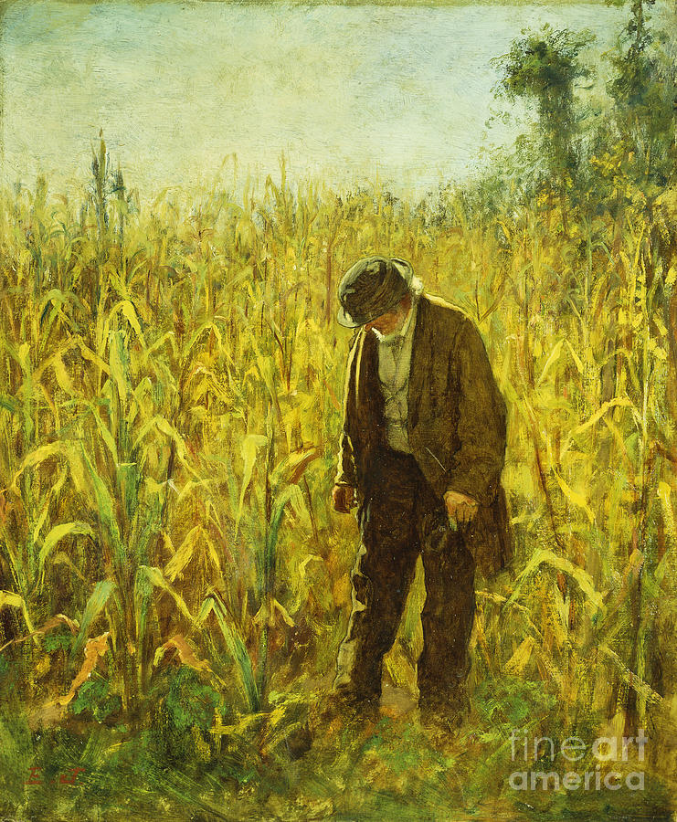 Man In A Cornfield, Oil On Board Painting by Eastman Johnson