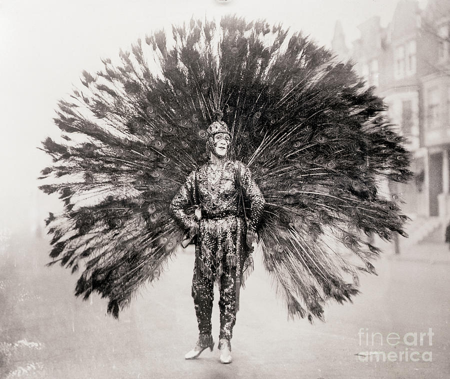 peacock travel man