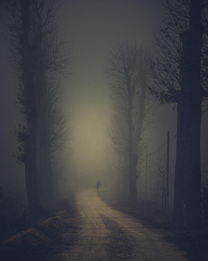 Man In The Fog Photograph by Andrea Fraccaroli