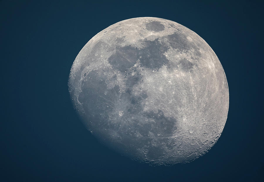 Man in the Moon Photograph by Rainee Colacurcio - Fine Art America