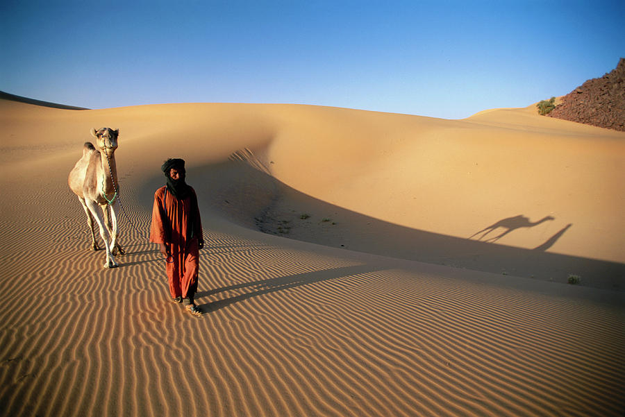 Man Leading Camel Photograph by Frans Lemmens