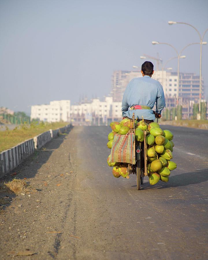 Man On Bicycle With Coconuts Photograph by Ashok Sinha