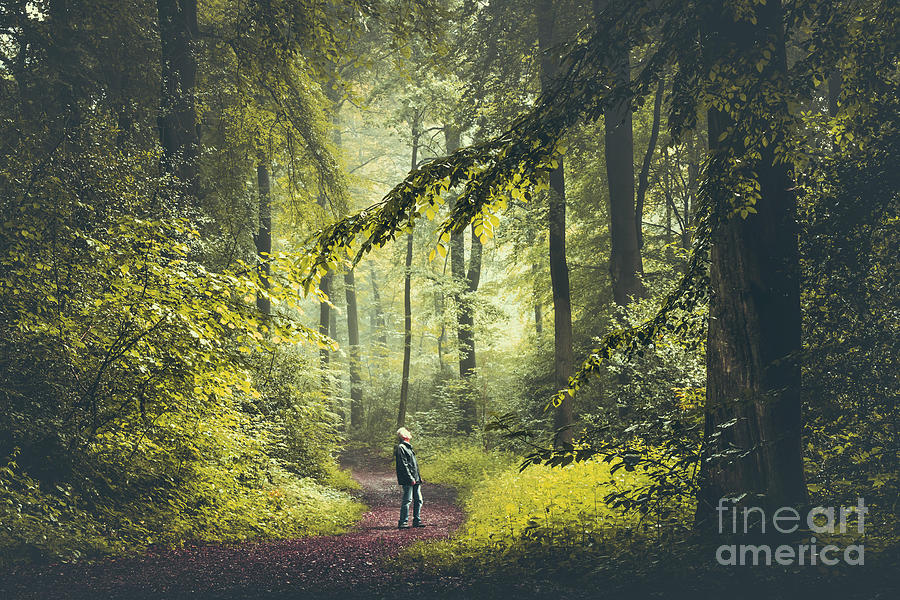 Man On Forest Path Photograph by Westend61