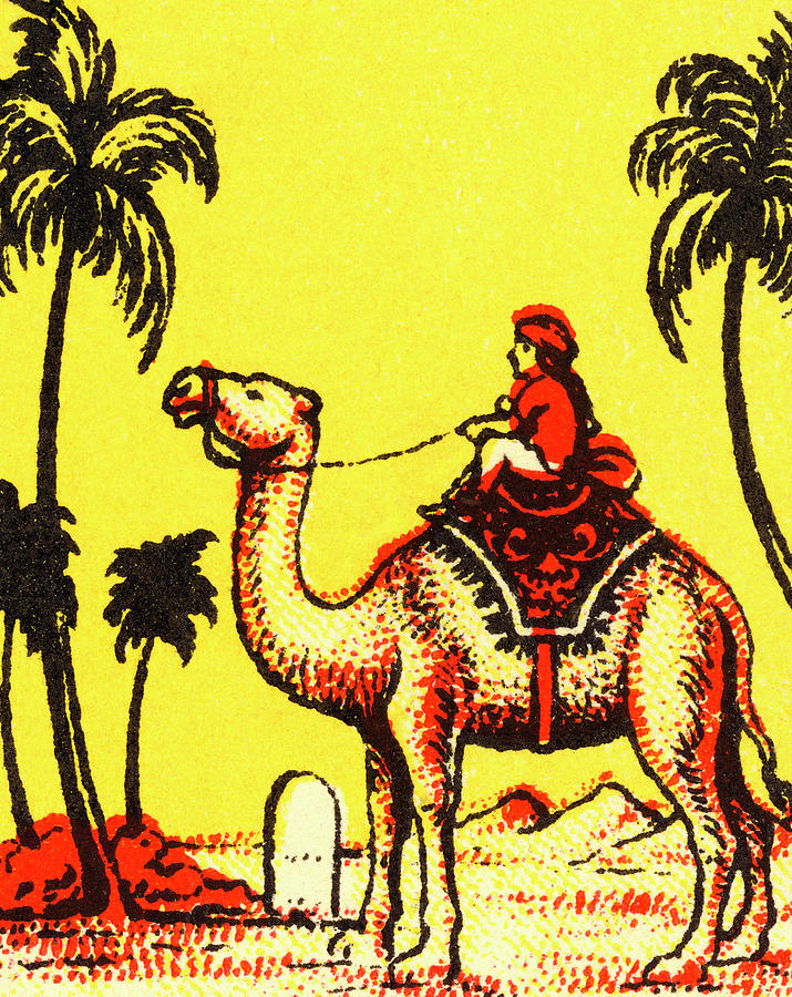 Vintage Drawing - Man Riding a Camel by CSA Images