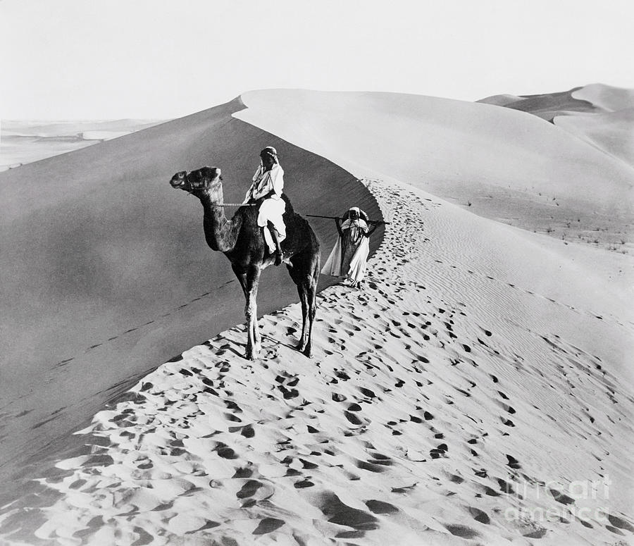 Man Riding A Camel In The Desert by Bettmann