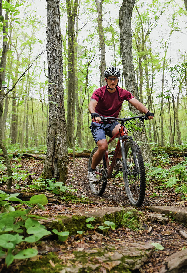 Man Riding A Mountain Bike Through Forest Trails On Summer Day ...