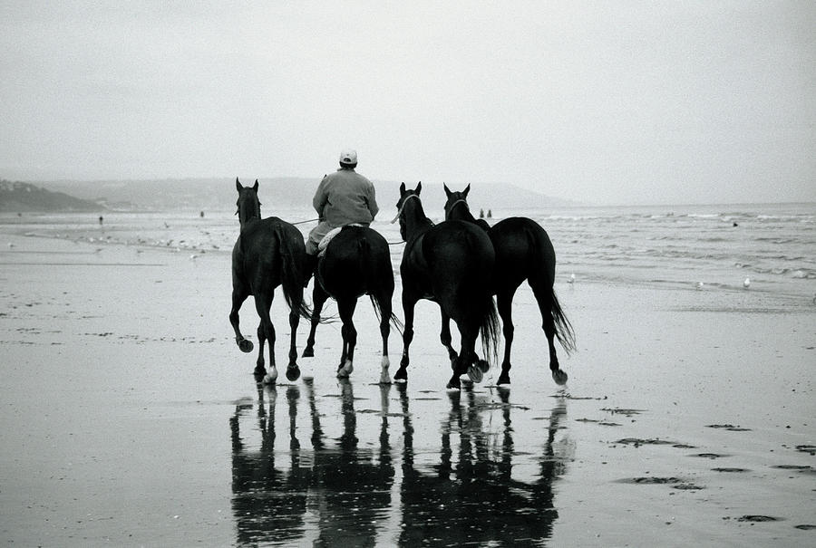 Man Riding W Four Horses Photograph by Henry Horenstein