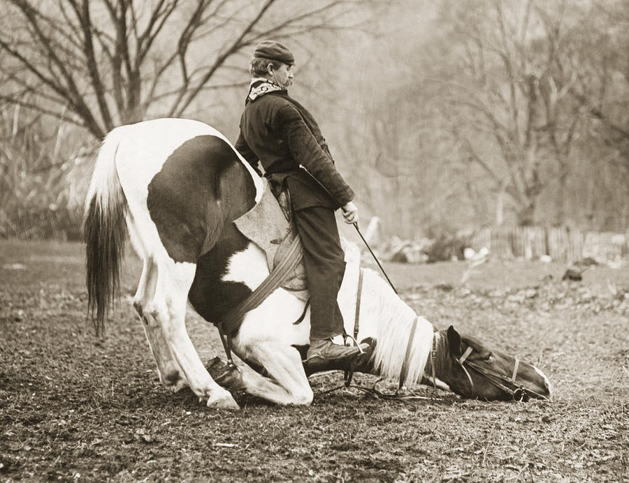 Man Seated On Bowing Horse Photograph by Bettmann