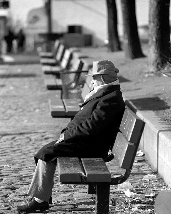 Man Sitting On A Park Bench Soaking Up Photograph by New York Daily News Archive