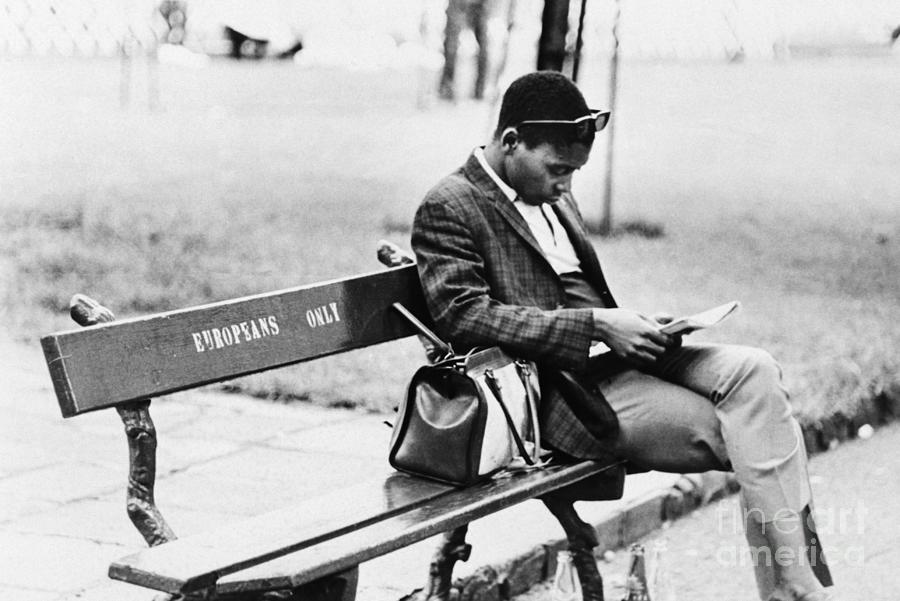 Man Sitting On Europeans Only Bench Photograph by Bettmann