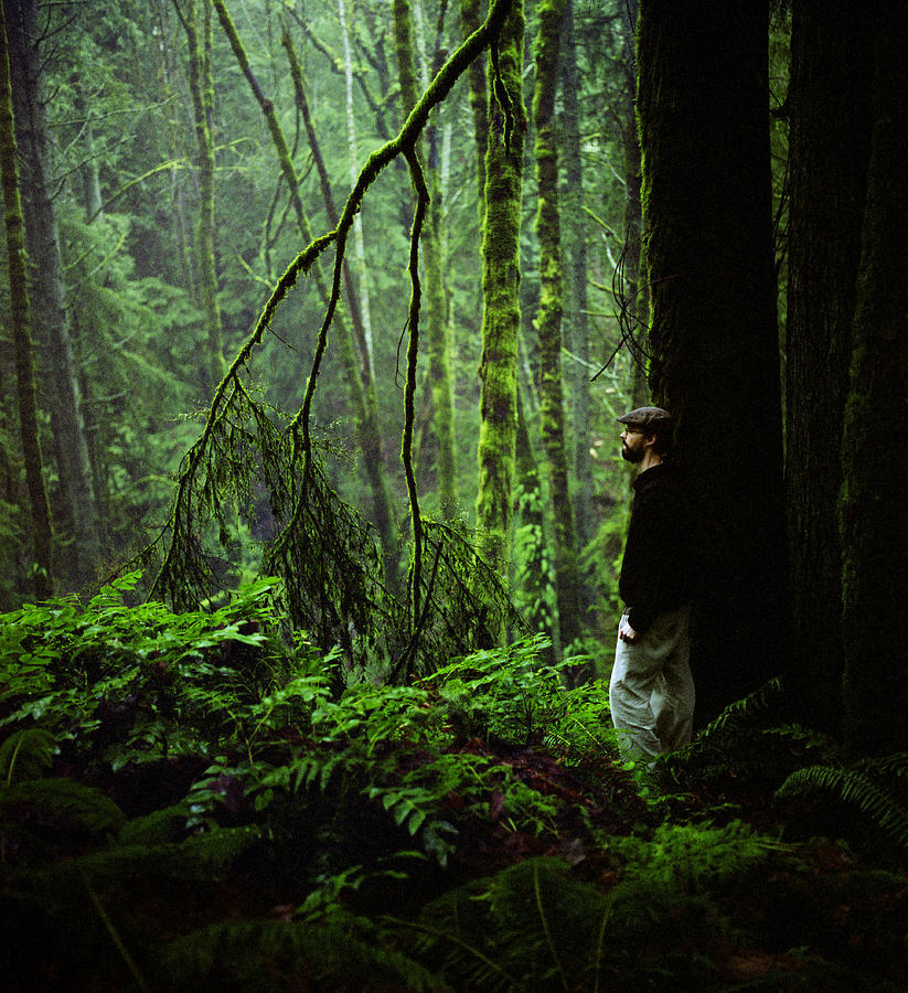 Man Standing In Lush Forest Photograph by Danielle D. Hughson