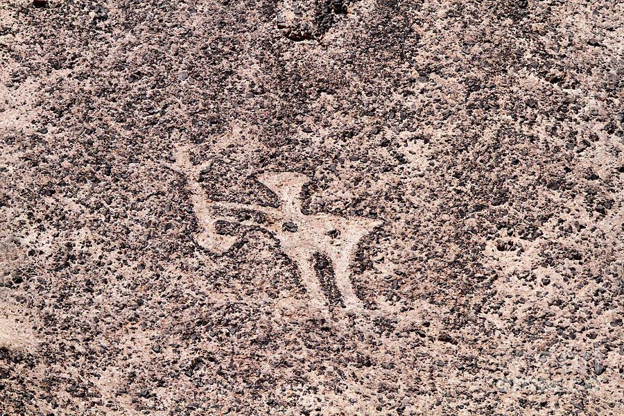 Man With Harpoon Geoglyph Cerro Pintados Chile Photograph by James Brunker