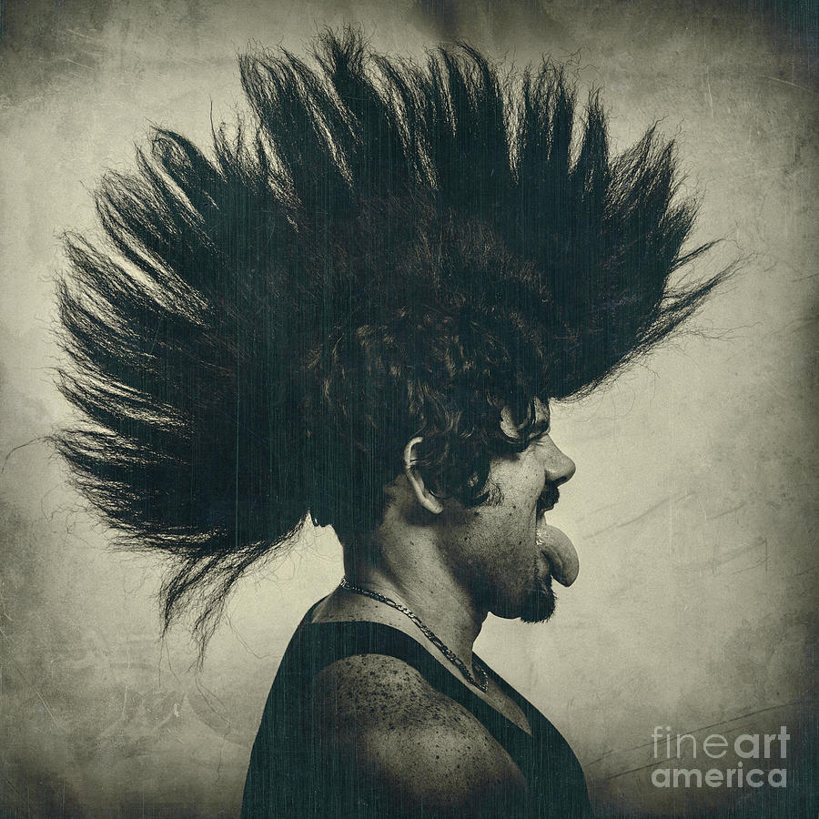 Man With Mohawk Punk Hair Wig Photograph by Thepalmer