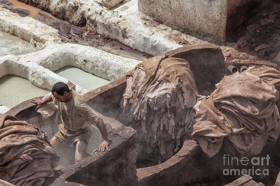Man working at tannery in Morocco Photograph by Patricia Hofmeester