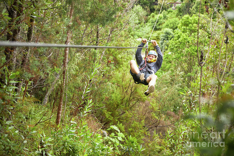 Adrenaline Photograph - Man Zip Lining Above Trees In Woods by Caia Image/science Photo Library Adrenaline Photograph - Man Zip Lining Above Trees In Woods by Caia Image/science Photo Library