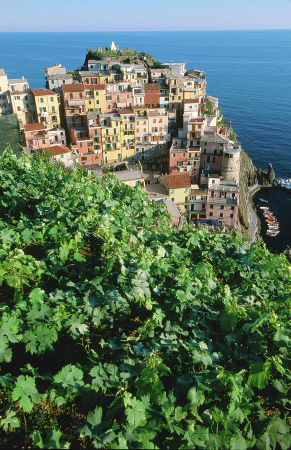 Manarola Town From Above, Cinque Terre Photograph by John Elk Iii