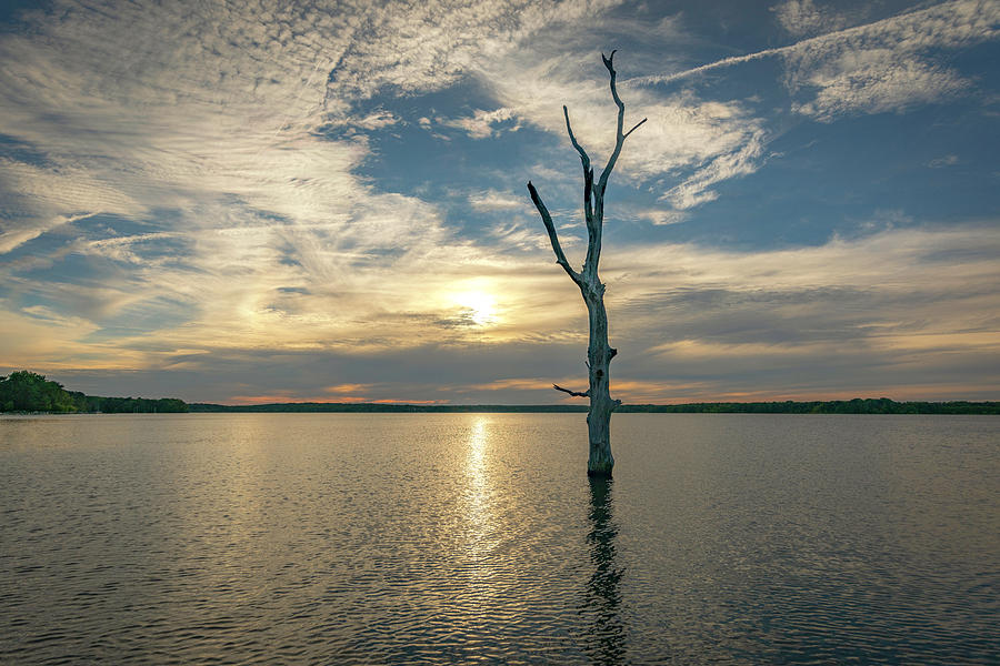 Sunset Photograph - Manasquan Reservoir by Larry Shvets