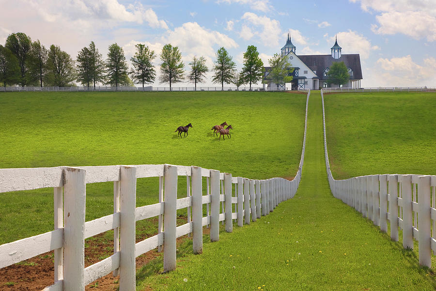 Manchester Farm, Kentucky 08 - Color Photograph by Monte Nagler