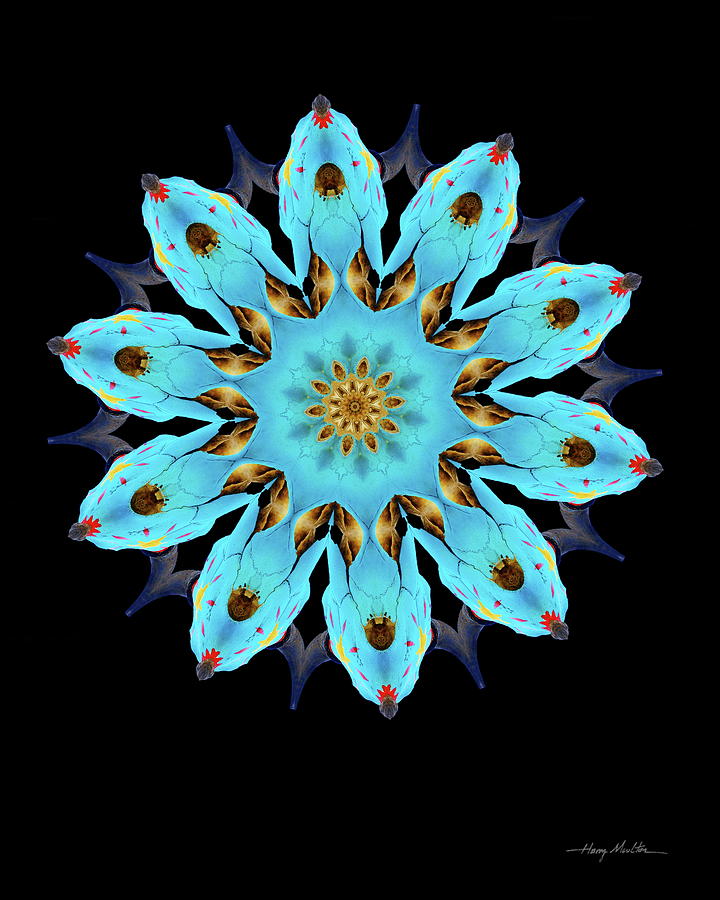 Mandala of Blue Pyrography by Harry Moulton