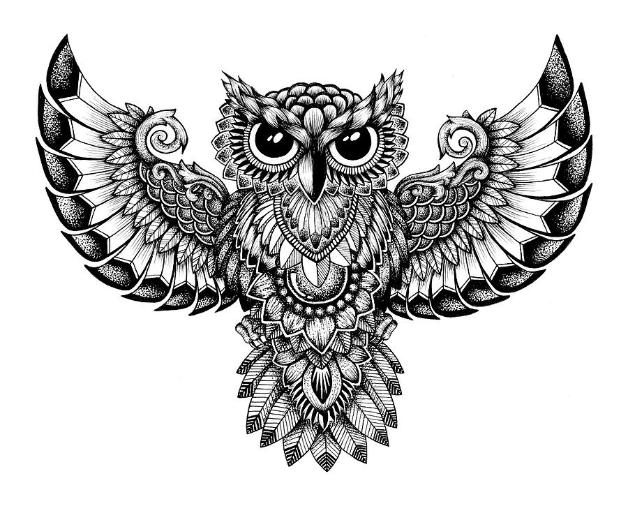 Mandala Owl Drawing by Ava Crabbe | Fine Art America