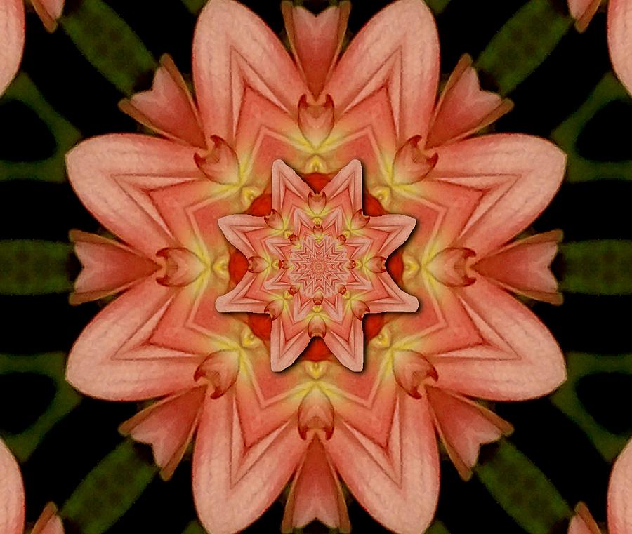 Mandala Star Of Big Flower Petals Of Colors Mixed Media
