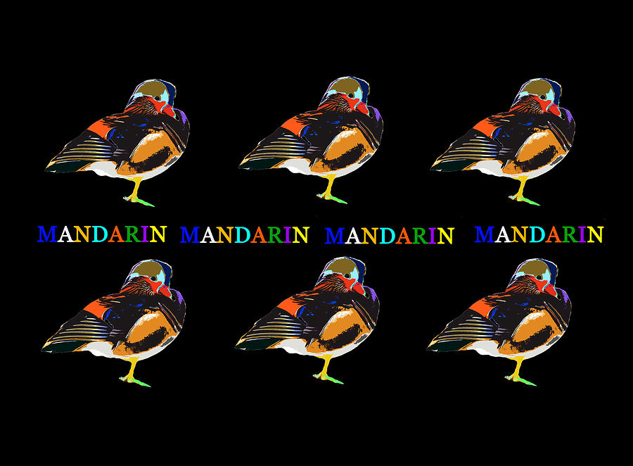 Mandarin Duck Mixed Media by David Lee Thompson