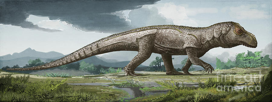 Prehistoric Photograph - Mandasuchus Prehistoric Crocodilian by Mark P. Witton/science Photo Library